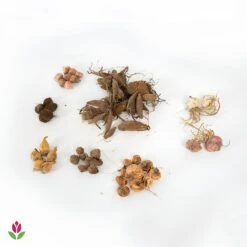 Massif D'été Fleuri En Mélange - 1,5 M² -France Fournitures De Jardin Soldes 2024 018541 wil qlb 018541 1 1705674314326