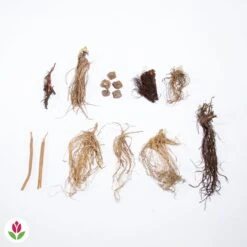 Collection De 15 Plantes Vivaces - 2 M² 23 Collection De 15 Plantes Vivaces - 2 M² -France Fournitures De Jardin Soldes 2024 020522 wil qlz 103905 1 1703062495191