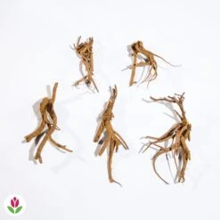 Coeur De Marie -France Fournitures De Jardin Soldes 2024 024773 wil qlz 44281 9 1708945993148