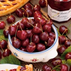 Cerisier Bigarreau Van -France Fournitures De Jardin Soldes 2024 100434 2