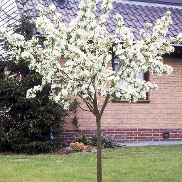 Poirier Conférence 7 Poirier Conférence – Image 5