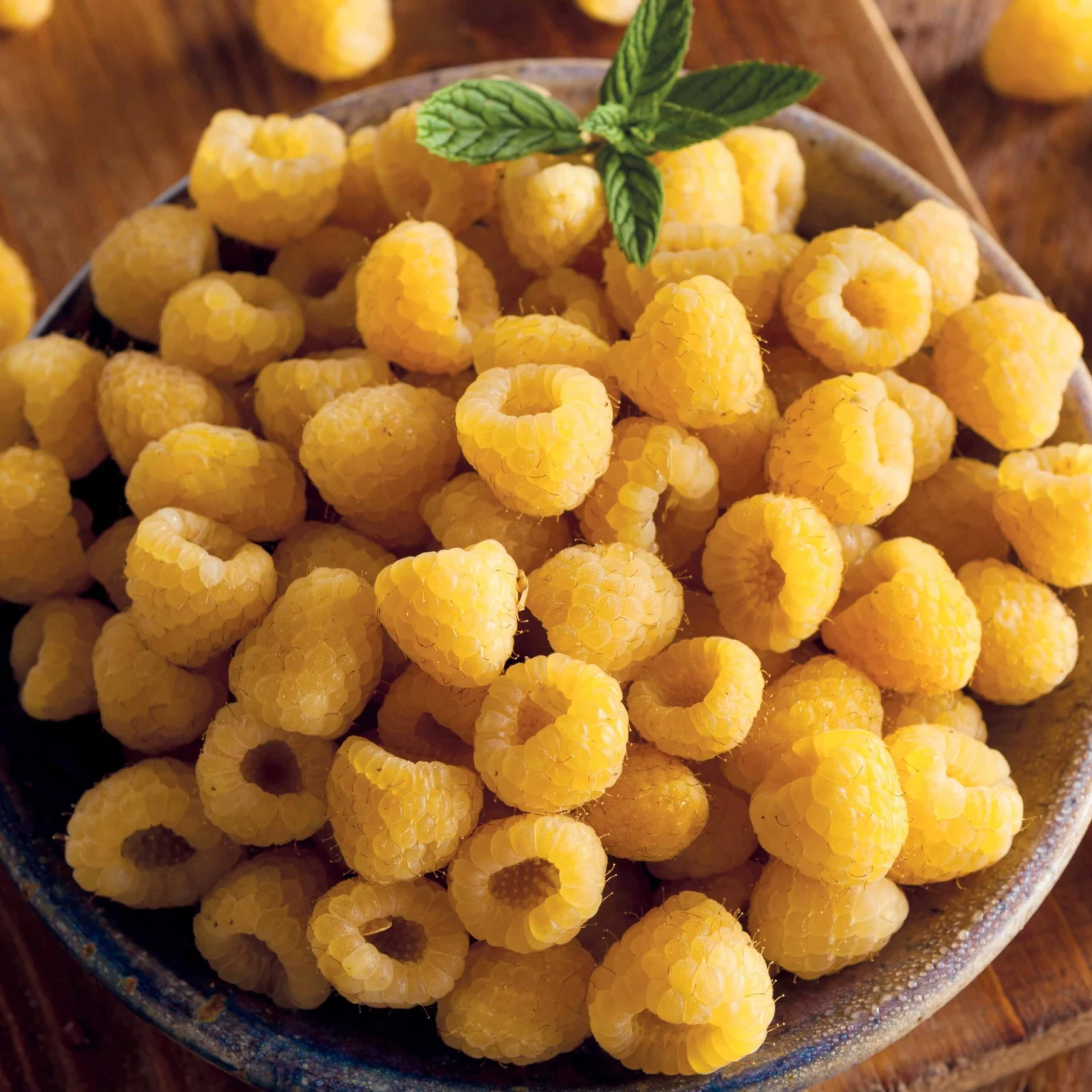 Framboisier Remontant Fallgold 3 Framboisier Remontant Fallgold – Image 2