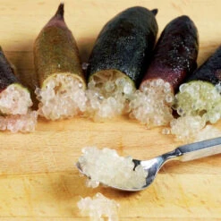 Citron Caviar -France Fournitures De Jardin Soldes 2024 101092 1 1704464005874