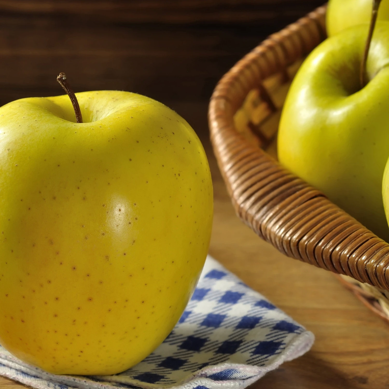 Mini Pommier Golden Yellow Spur 4 Mini Pommier Golden Yellow Spur – Image 2