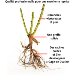 Gazebo Parts Direct Sales Store -France Fournitures De Jardin Soldes 2024 103760 2 1706544213674