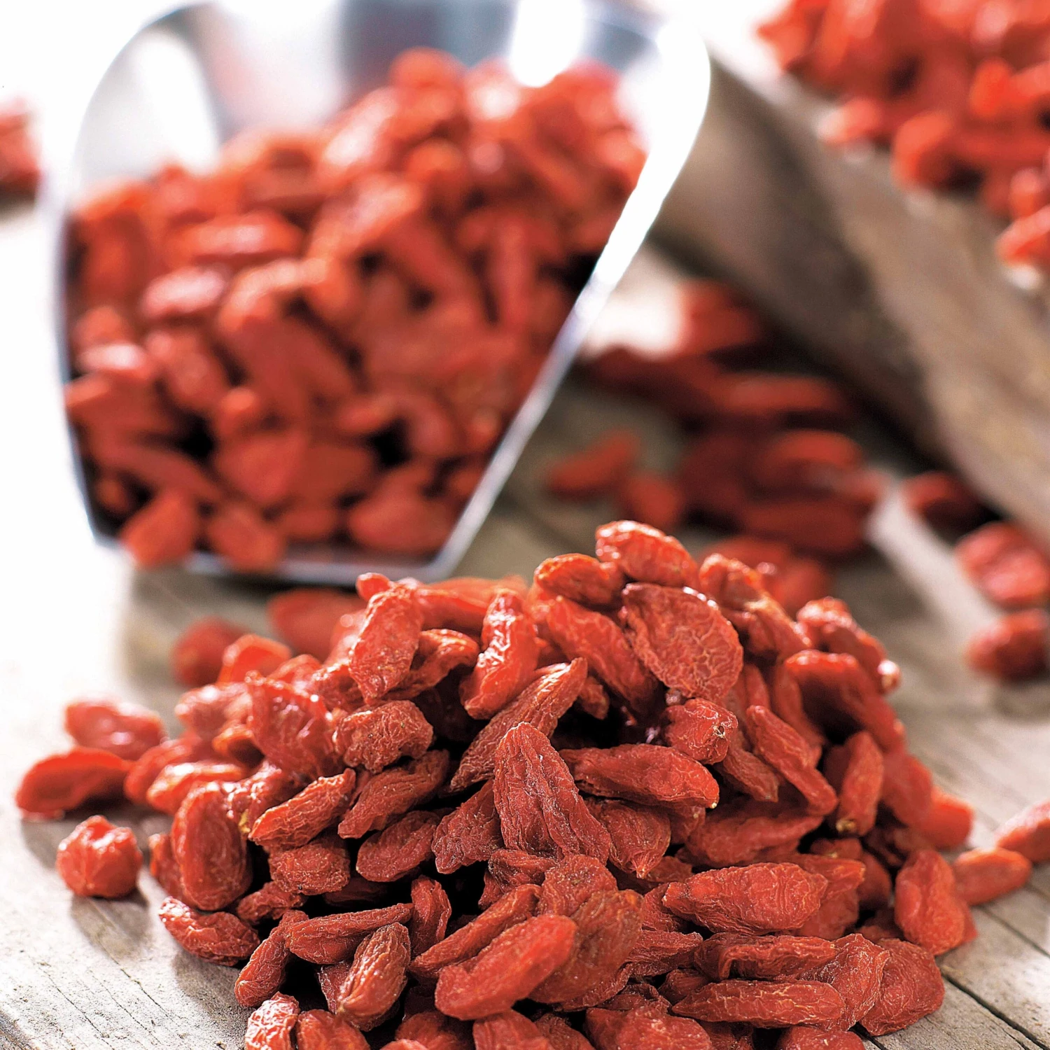 Collection De 4 Arbustes à Fruits Vitaminés 4 Collection De 4 Arbustes à Fruits Vitaminés – Image 2