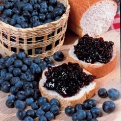 Collection De 4 Arbustes à Fruits Vitaminés 15 Collection De 4 Arbustes à Fruits Vitaminés -France Fournitures De Jardin Soldes 2024 104035 5