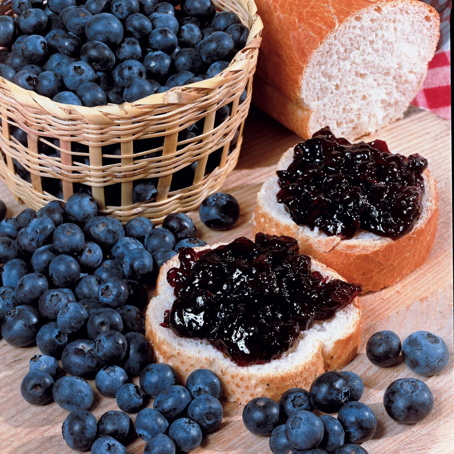 Collection De 4 Arbustes à Fruits Vitaminés 7 Collection De 4 Arbustes à Fruits Vitaminés – Image 5