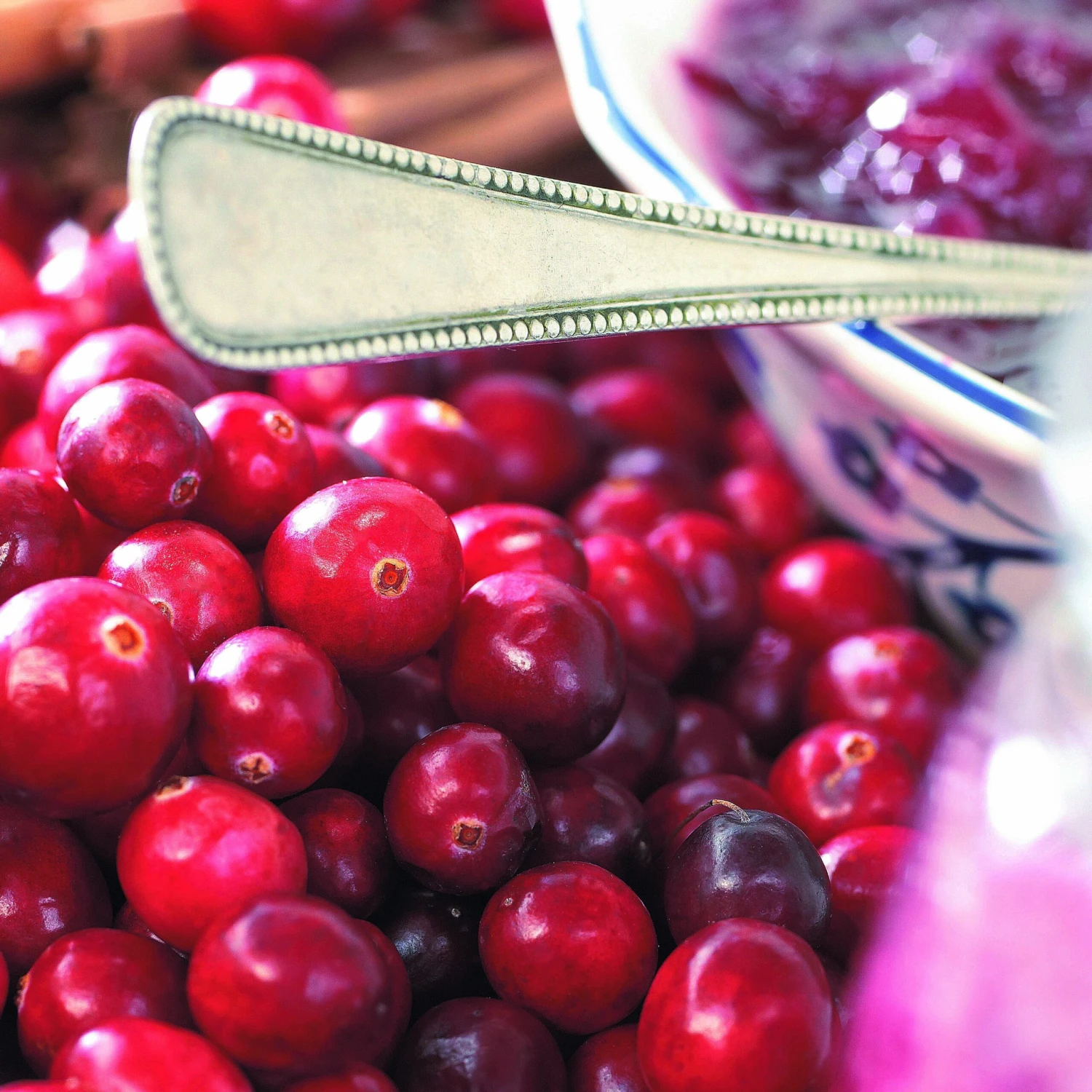 Collection De 4 Arbustes à Fruits Vitaminés 8 Collection De 4 Arbustes à Fruits Vitaminés – Image 6