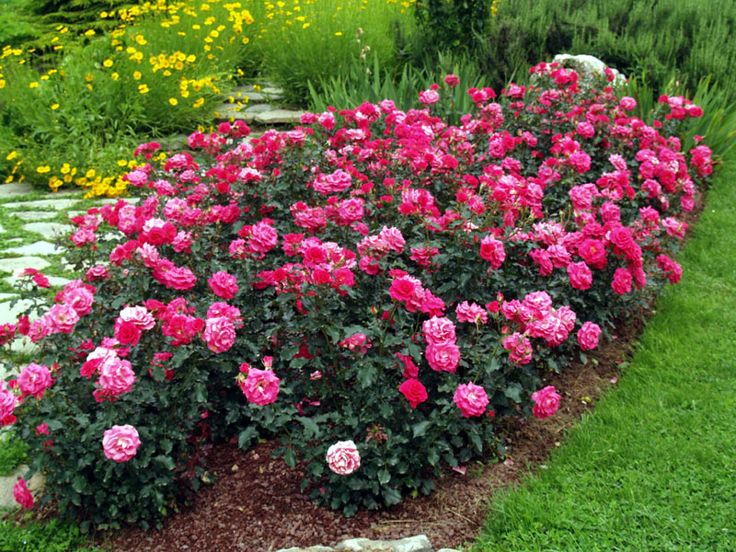 Gazebo Parts Direct Sales Store -France Fournitures De Jardin Soldes 2024 2facb547a02db082bdc22d5ffabc3981