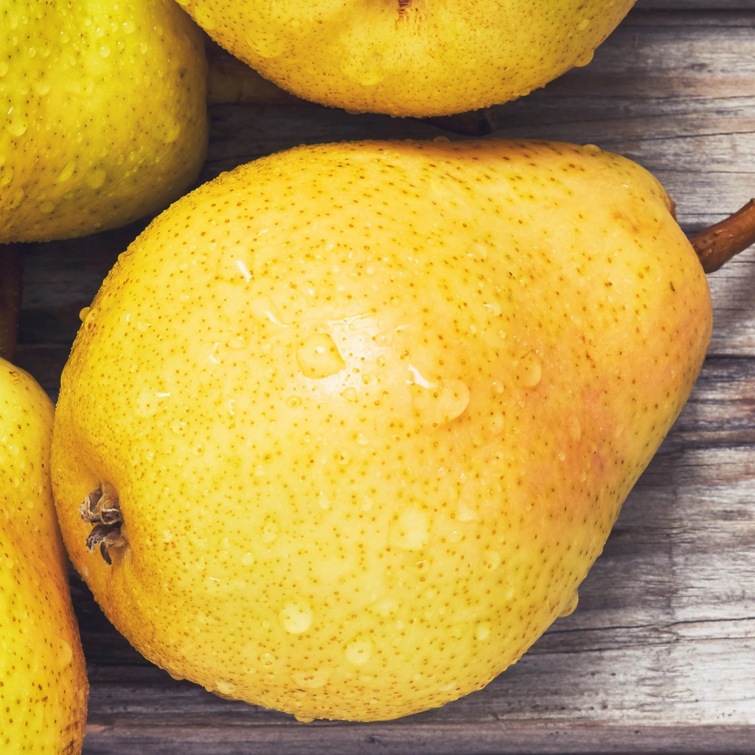 Poirier William's - Bon Chrétien 5 Poirier William's - Bon Chrétien – Image 3