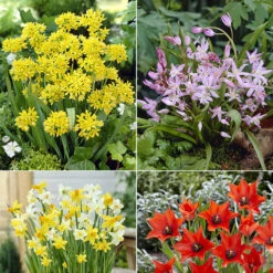 Gazebo Parts Direct Sales Store -France Fournitures De Jardin Soldes 2024 MON 031436 2 1706797900523