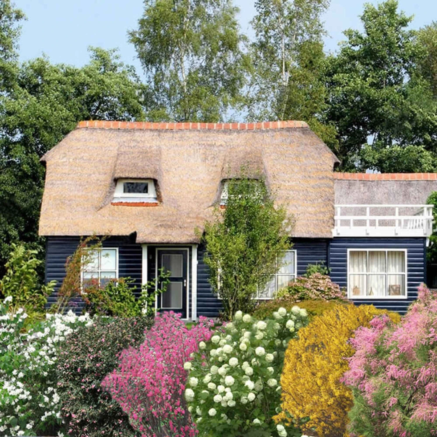 Collection Haie Des Quatre Saisons #2 4 Collection Haie Des Quatre Saisons #2 – Image 2