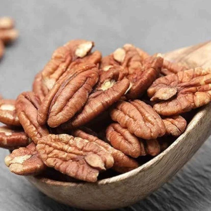 Pacanier - Noix De Pécan 5 Pacanier - Noix De Pécan – Image 3