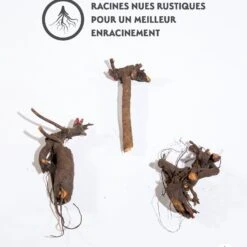 Mélange De 3 Pivoines : Immaculée, Sorbet, Red Charm 11 Mélange De 3 Pivoines : Immaculée, Sorbet, Red Charm -France Fournitures De Jardin Soldes 2024 qlz 25931 6