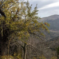 Gazebo Parts Direct Sales Store -France Fournitures De Jardin Soldes 2024 rav 103185 4