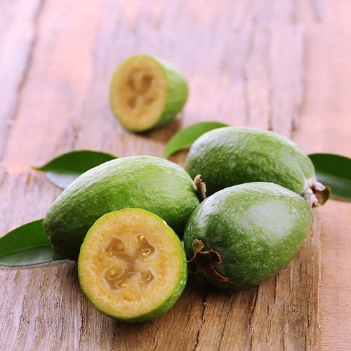 Goyavier Du Bresil 10 Goyavier Du Bresil – Image 8