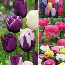 130 Bulbes Mystères